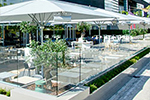 PARASOLS