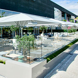 PARASOLS
